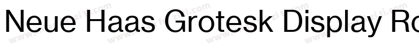 Neue Haas Grotesk Display Roman字体转换